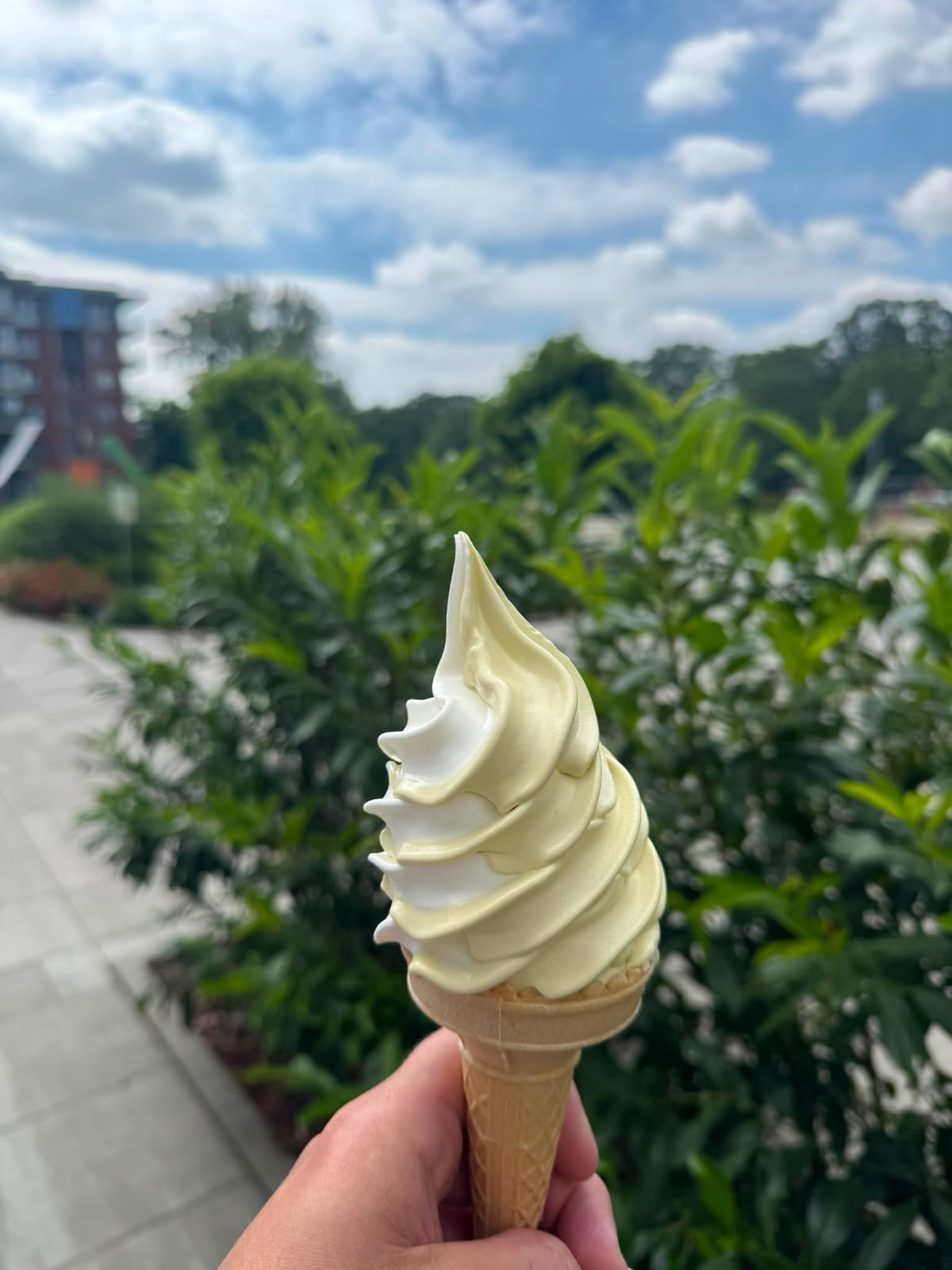 Lody